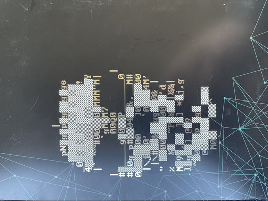 WATCH DOGS (LIMITED EDITION)  - XBX360