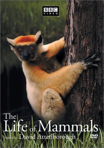 THE LIFE OF MAMMALS, VOL. 3 [IMPORT]