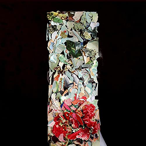 FOXTROTT - A TALLER US (VINYL)