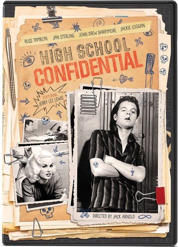 HIGH SCHOOL CONFIDENTIAL