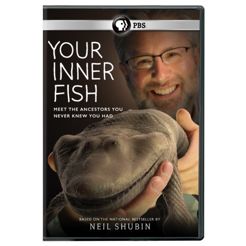 YOUR INNER FISH [IMPORT]