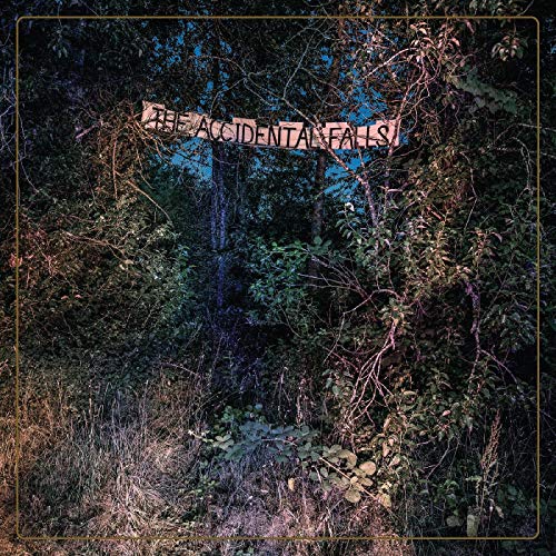 EYELIDS - ACCIDENTAL FALLS (CD)