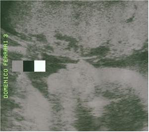 FERRARI, DOMENICO  - 3