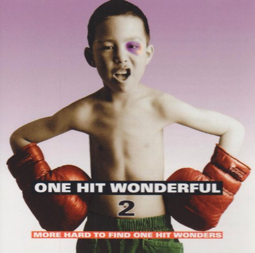 VARIOUS - ONE HIT WONDERFULL 2