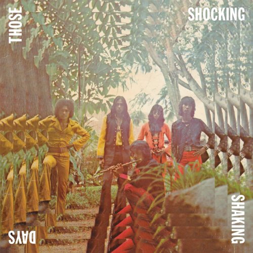 VARIOUS - VARIOUS - THOSE SHOCKING SHAKING DAYS
