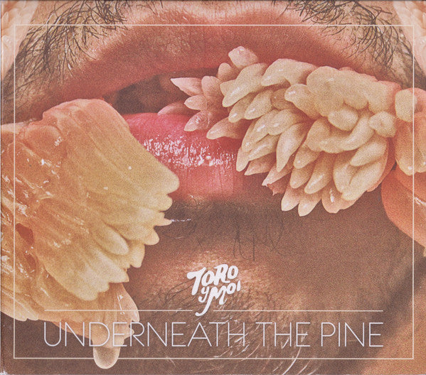 TORO Y MOI  - UNDERNEATH THE PINE