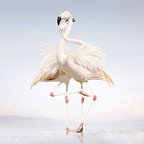 RUSTIE - GREEN LANGUAGE [2LP VINYL]