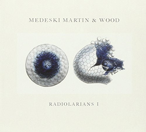 MEDESKI, MARTIN & WOOD  - RADIOLARIANS I