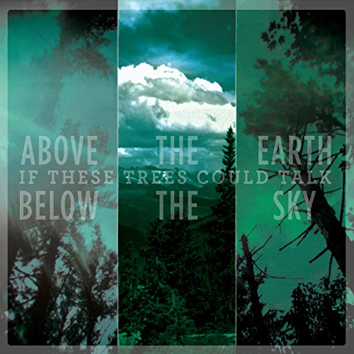 IF THESE TREES COULD TALK - ABOVE THE EARTH, BELOW THE SKY