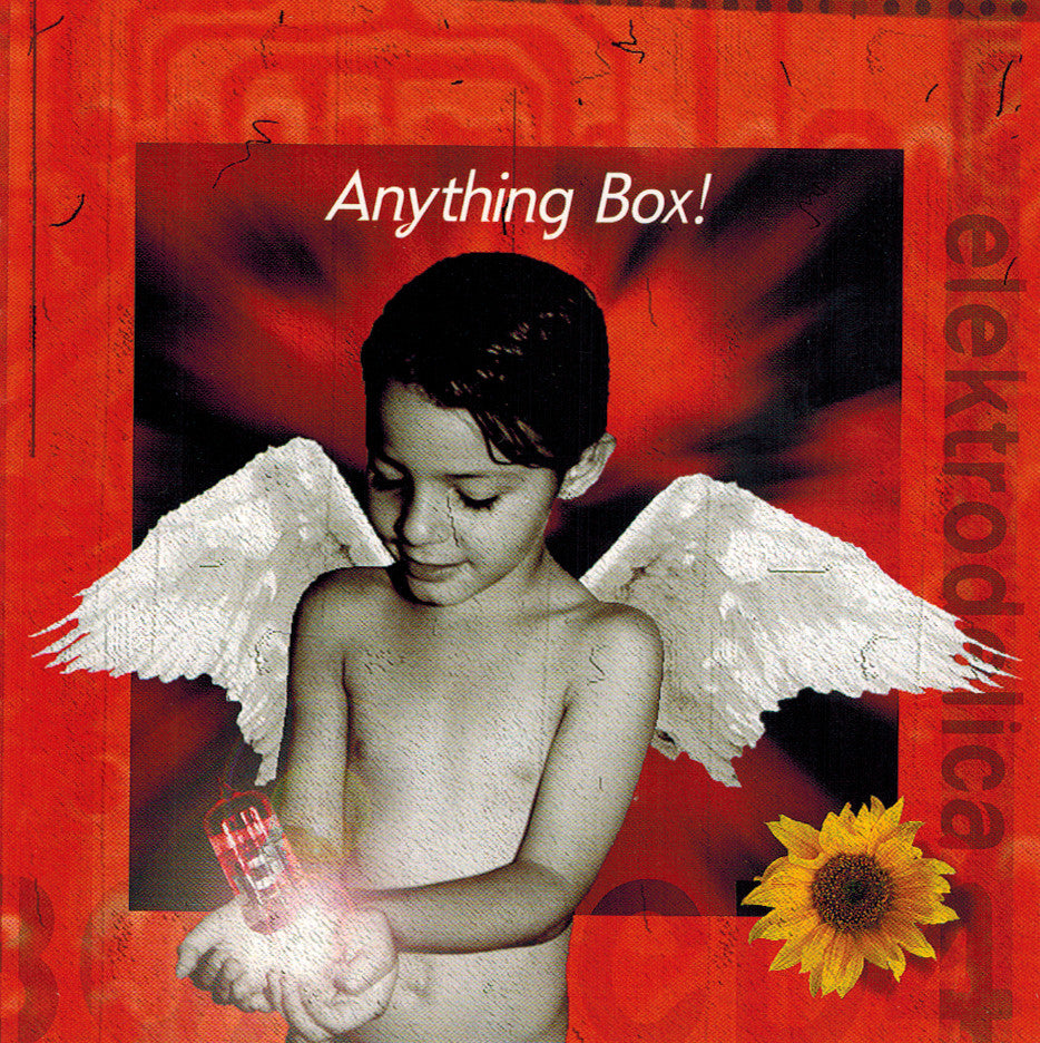 ANYTHING BOX  - ELEKTRODELICA