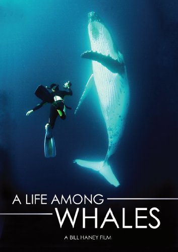 A LIFE AMONG WHALES