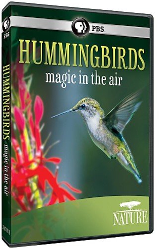 NATURE: HUMMINGBIRDS [IMPORT]