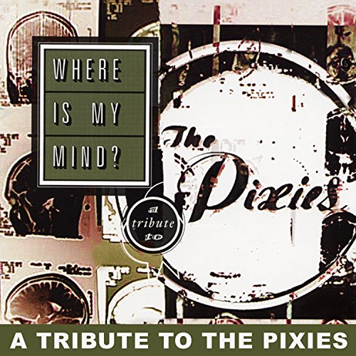 VARIOUS (TRIBUTE) - WHERE IS MY MIND? A TRIBUTE