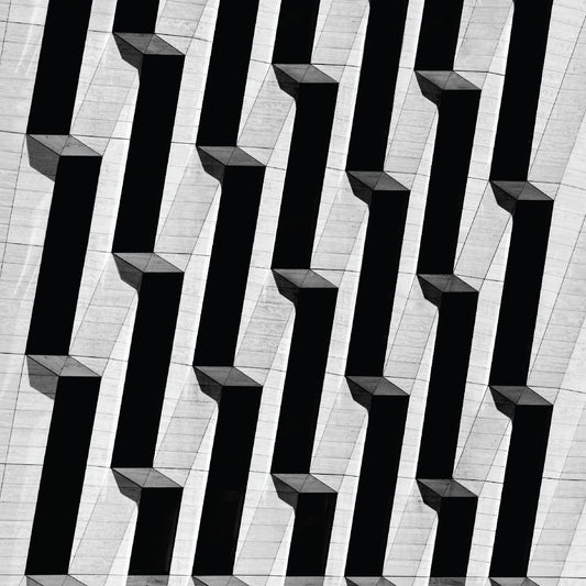 SNOW PALMS - EVERYTHING ASCENDING