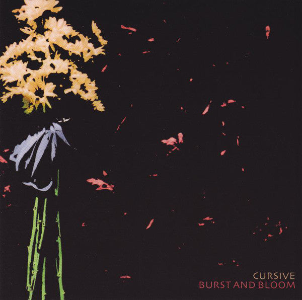 CURSIVE  - BURST & BLOOM