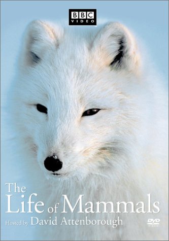 LIFE OF MAMMALS  - DVD-VOLUME 2