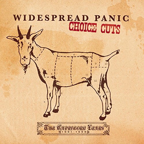 WIDESPREAD PANIC - CHOICE CUTS 1991-1999