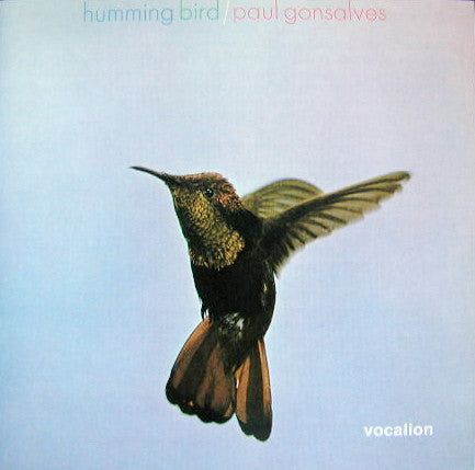 GONSALVES, PAUL  - HUMMING BIRD
