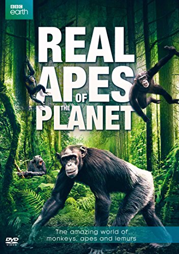 REAL APES OF THE PLANET