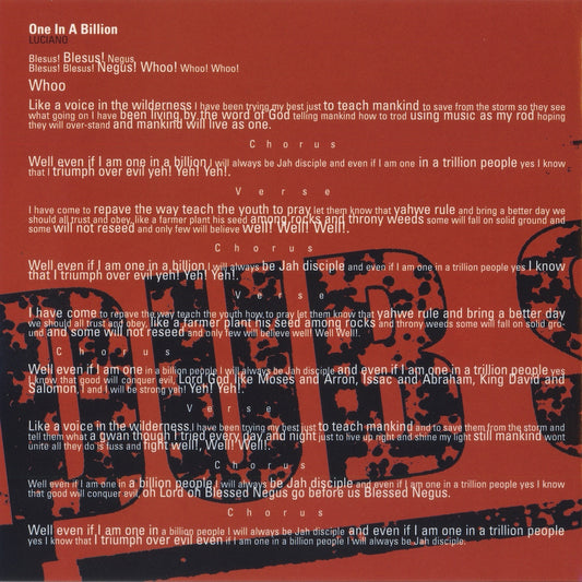 DUB SYNDICATE  - ACRES OF SPACE