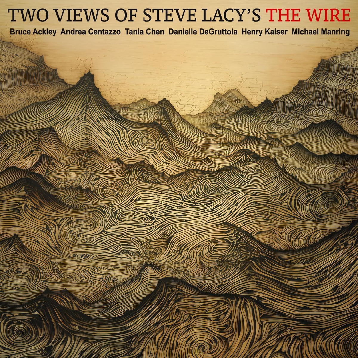 ACKLEY-CHEN-CENTAZZO-DEGRUTTOLA-KAISER-MANRING - TWO VIEWS OF STEVE LACYS THE WIRE