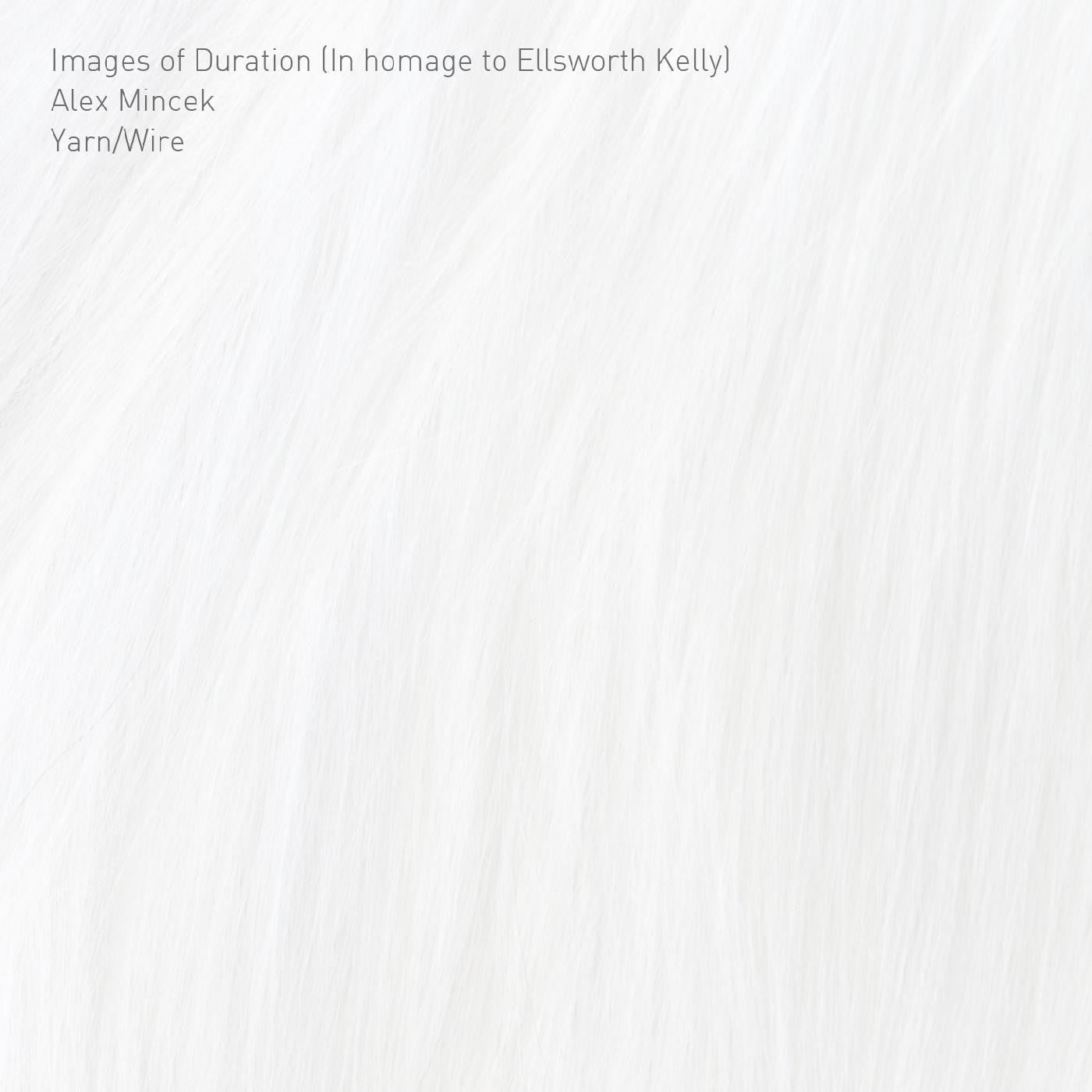 YARN/WIRE - IMAGES OF DURATION (IN HOMAGE TO ELLSWORTH KELLY)