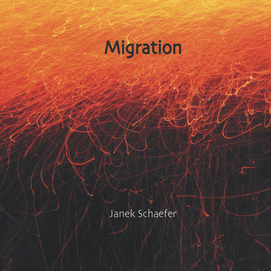 SCHAEFER, JANEK  - MIGRATION