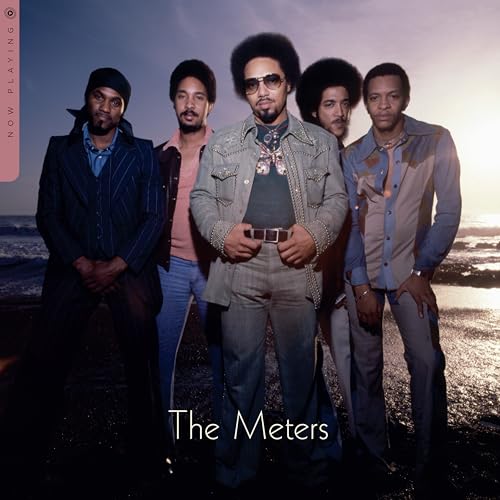 THE METERS - NOW PLAYING (VINYL)