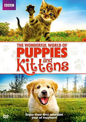 WONDERFUL WORLD OF PUPPIES & KITTENS