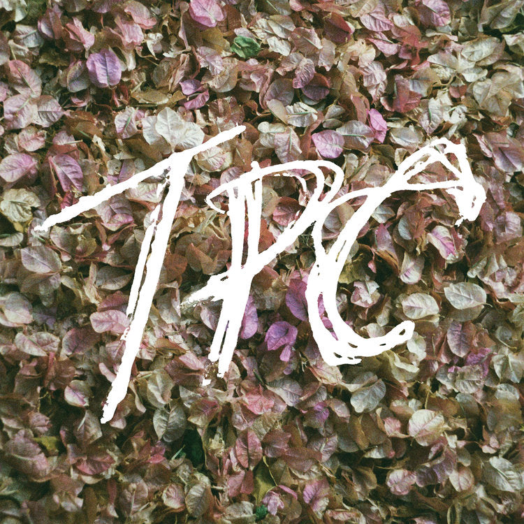 TOKYO POLICE CLUB  - TPC