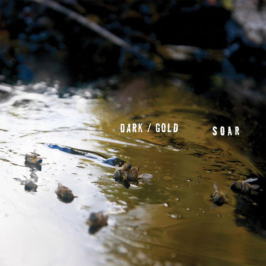 SOAR - DARK / GOLD
