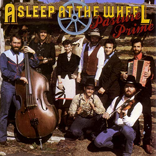 ASLEEP AT THE WHEEL - PASTURE PRIME