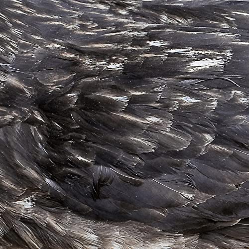 ARSTIDIR - ARSTI?IR (VINYL)