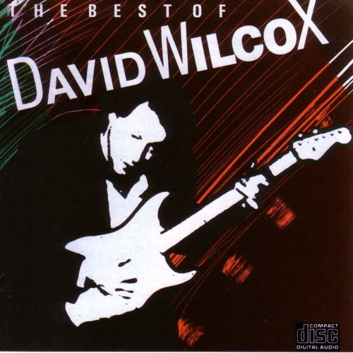 DAVID WILCOX - THE BEST OF DAVID WILCOX