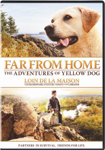 FAR FROM HOME: THE ADVENTURES OF YELLOW DOG (BILINGUAL)