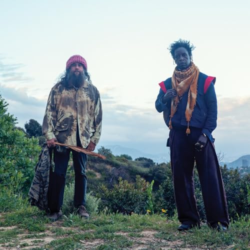 SAUL WILLIAMS, CARLOS NIñO & FRIENDS - SAUL WILLIAMS MEETS CARLOS NIñO & FRIENDS AT TREEPEOPLE (CD)