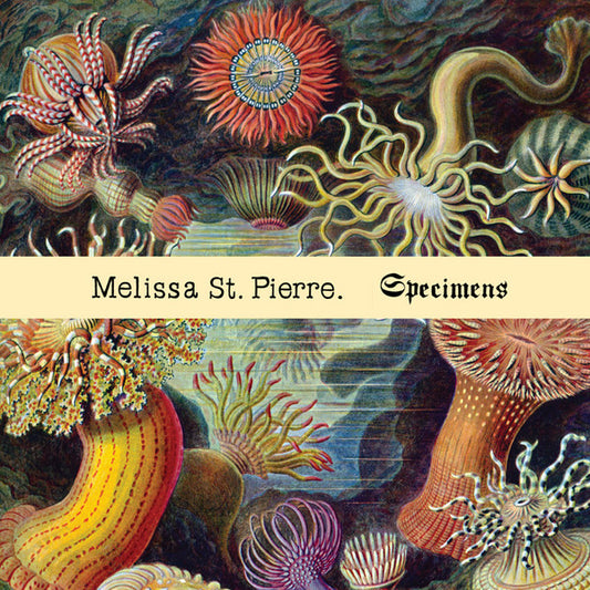 ST. PIERRE, MELISSA  - SPECIMENS