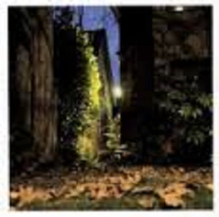 FCS NORTH  - ALL MVMNT BRINGS