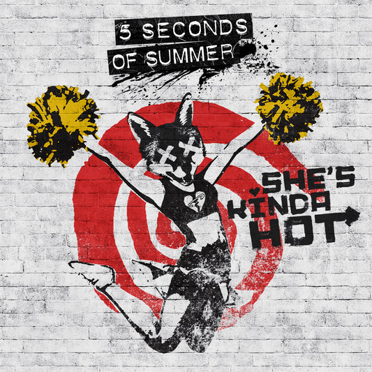 5 SECONDS OF SUMMER  - SHE'S KINDA HOT