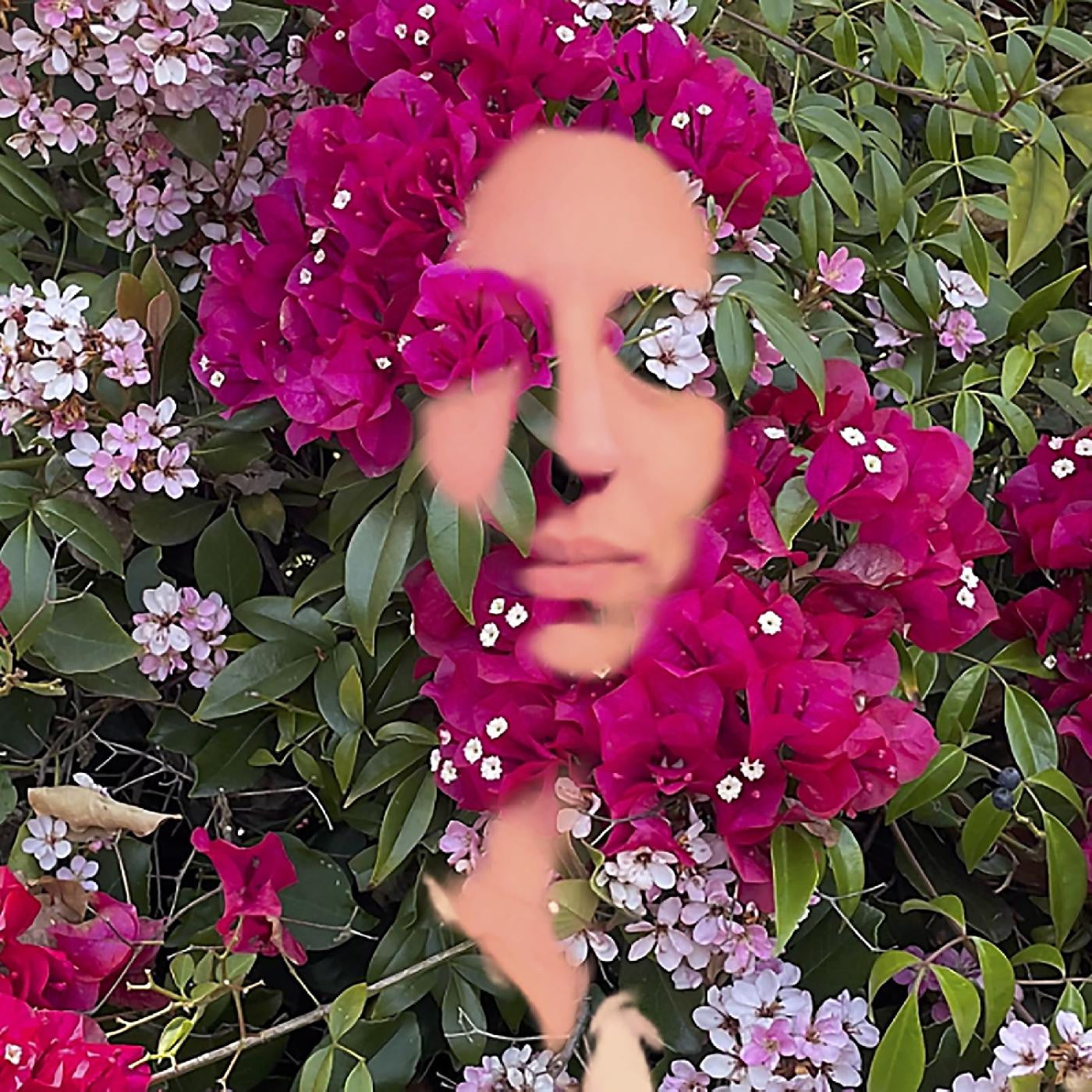 DAISY PRESS - YOU ARE THE FLOWER MUSIC FROM HILDEGARD VON BINGEN  VOL. 1