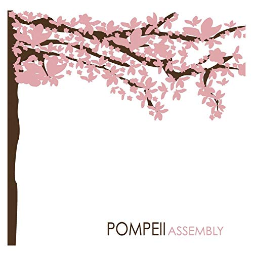 POMPEII  - ASSEMBLY