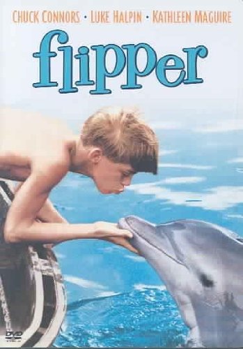 FLIPPER