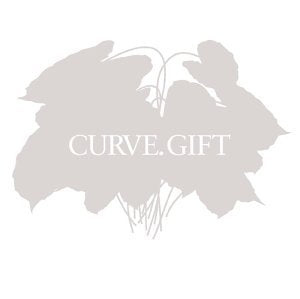 CURVE (ROCK) - GIFT