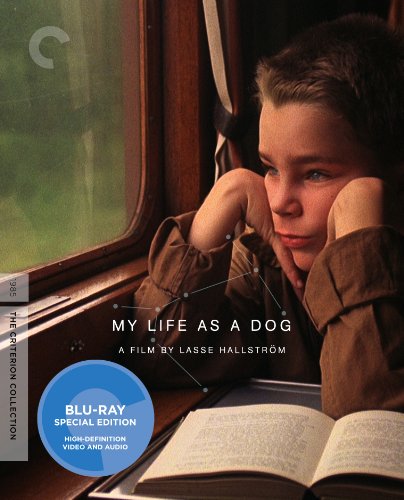 MY LIFE AS A DOG (THE CRITERION COLLECTION) [BLU-RAY]