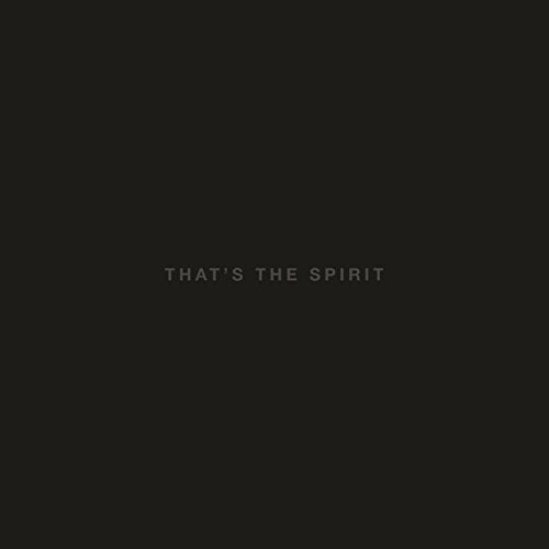 BRING ME THE HORIZON - THAT'S THE SPIRIT (JEWEL CASE VERSION)