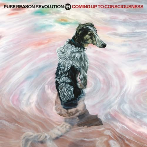 PURE REASON REVOLUTION - COMING UP TO CONSCIOUSNESS (CD)
