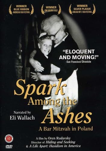 SPARK AMONG THE ASHES - DVD