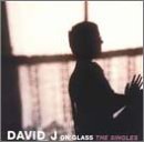 DAVID J - ON GLASS