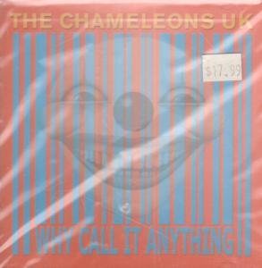 CHAMELEONS UK - WHY CALL IT ANYTHING?