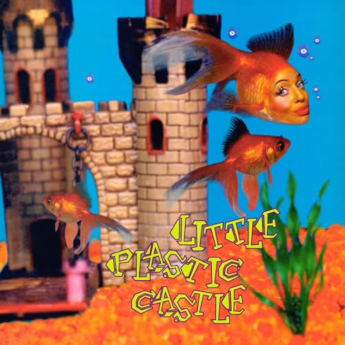 ANI DIFRANCO - LITTLE PLASTIC CASTLE (25TH ANNIVERSARY EDITION CD) (CD)